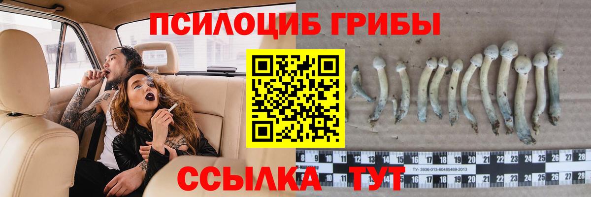 Галлюциногенные грибы мухоморы Минеральные Воды